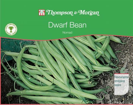 Dwarf Bean Nomad