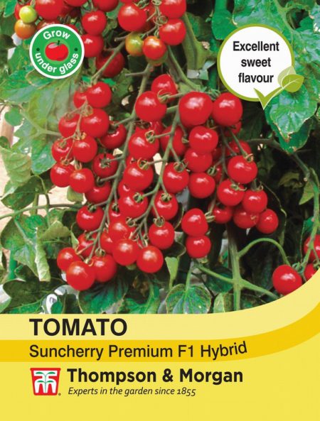 Tomato Suncherry Premium F1 Hybrid