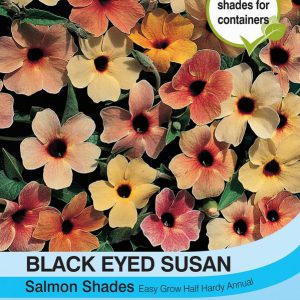 Black Eyed Susan Salmon Shades