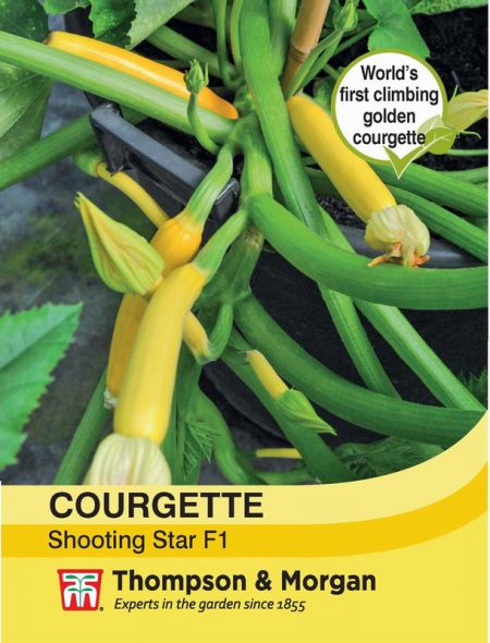 Courgette Shooting Star
