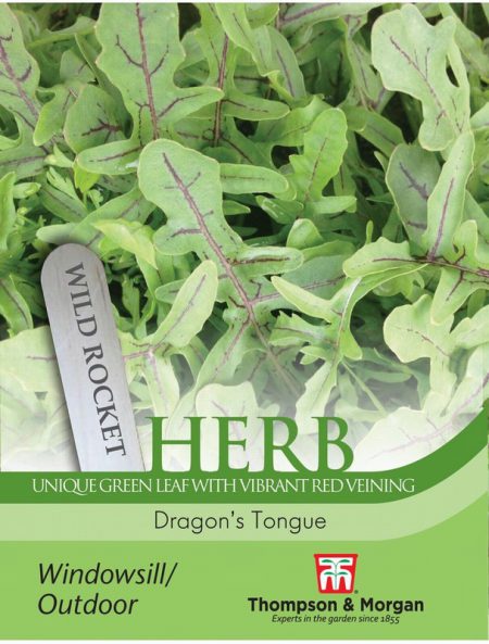 Herb Rocket Dragons Tongue