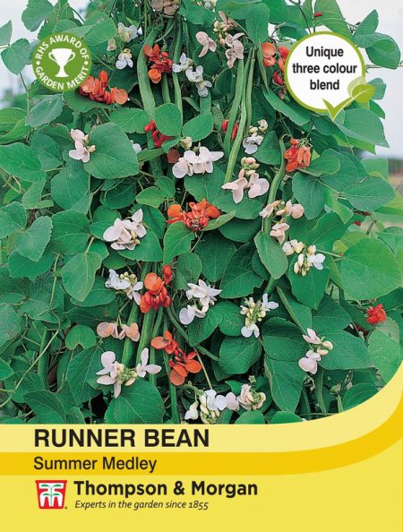 Runner Bean Summer Medley