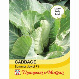 Cabbage Summer Jewel F1 Hybrid