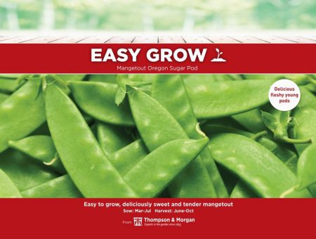 Mangetout Oregon Sugar Pod