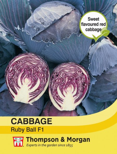 Cabbage Ruby Ball F1 Hybrid