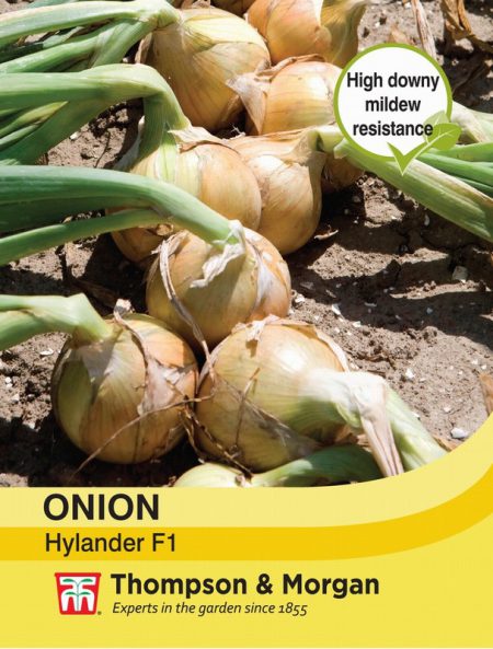 Onion Hylander F1 Hybrid