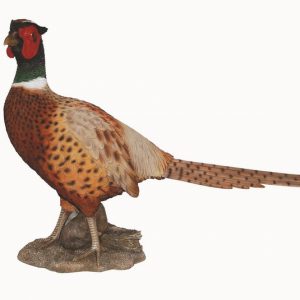 Real Life Pheasant L52cm