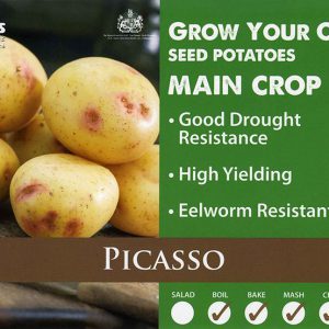 CARRIPACK SEED POTATOES 2KG PICASSO 35-55