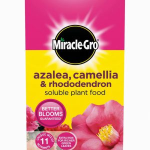 Evergreen Miracle-Gro Ericaceous 1k