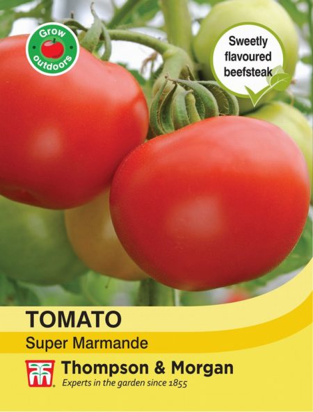 Tomato Super Marmande