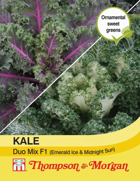Kale Duo Mix (Emerald Ice & Midnight Sun)