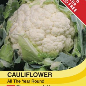 Cauliflower All The Year Round