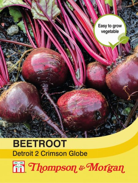Beetroot Detroit 2 Crimson Globe