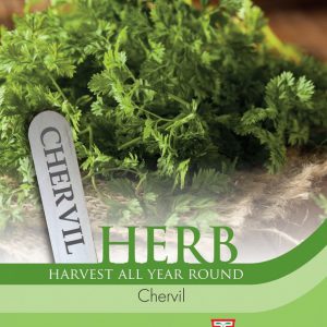 Herb Chervil