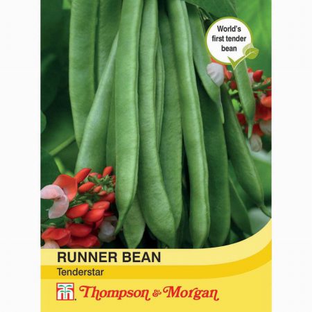 Runner Bean Tenderstar