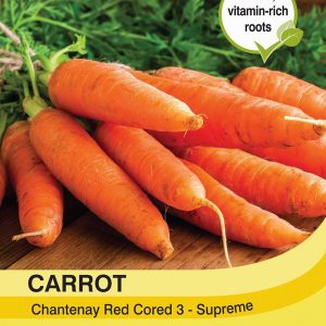 Carrot Chantenay Red Cored 3 – Supreme