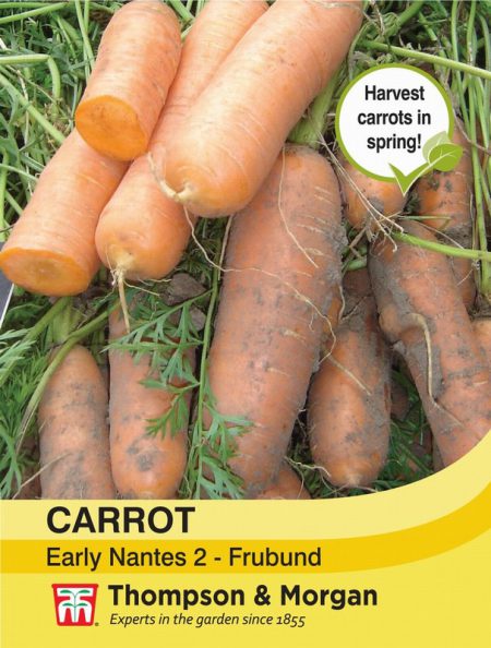 Carrot Nantes 2 - Frubund