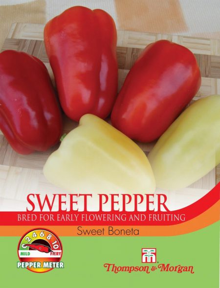 Pepper Sweet Boneta