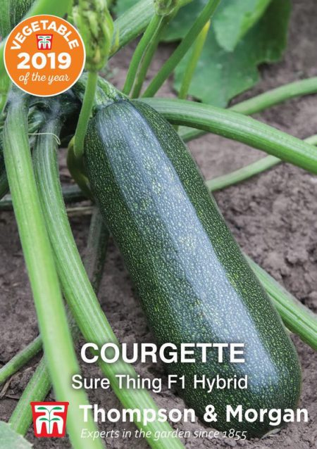 Courgette Sure Thing