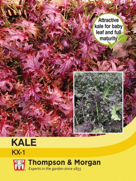 Kale KX -1