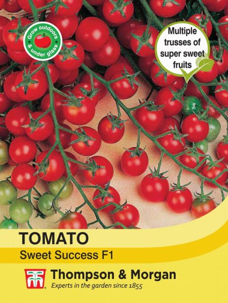 Tomato Sweet Success F1 Hybrid