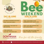 Bee Weekend 18th & 19th June, Fun for all the family