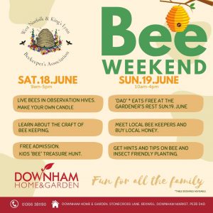 Read more about the article Bee Weekend 18th & 19th June, Fun for all the family