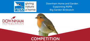 Read more about the article Downham Home and Garden Competition